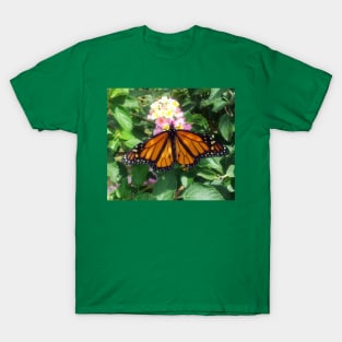 Monarch Butterfly T-Shirt